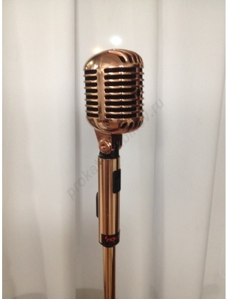 Аренда караоке-микрофона на стойке-качелях Swing Microphone Stand